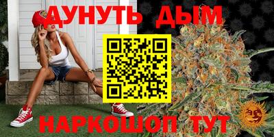 ALPHA PVP Канаш