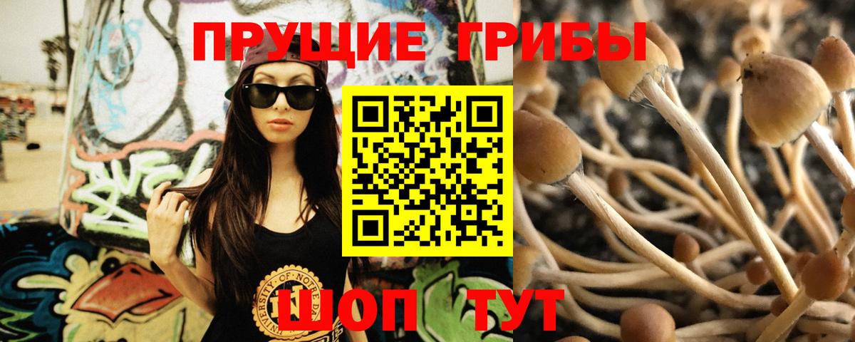 Псилоцибиновые грибы мухоморы Лесной