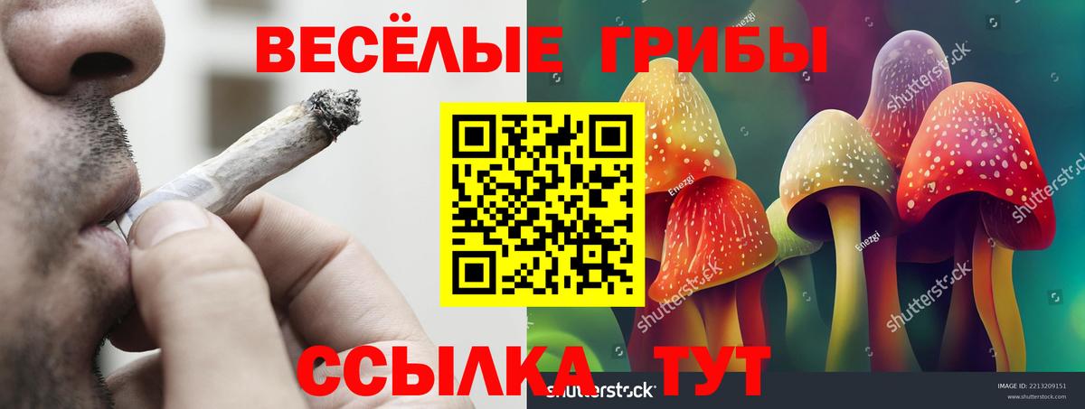что такое   Вход с VPN  Псилоцибиновые грибы Psilocybine cubensis  Лесной  Псилоцибиновые грибы MAGIC MUSHROOMS 