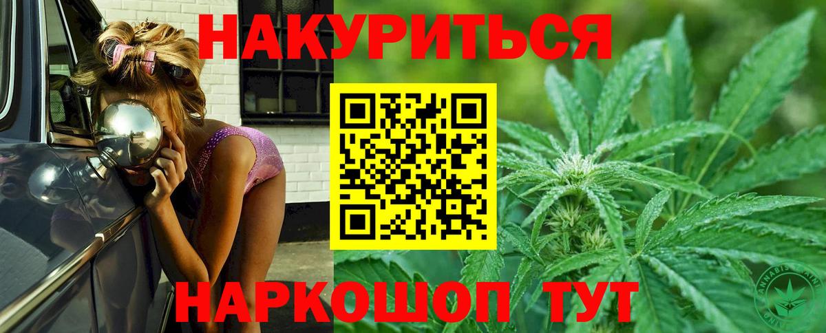 Шишки марихуана White Widow Лесной